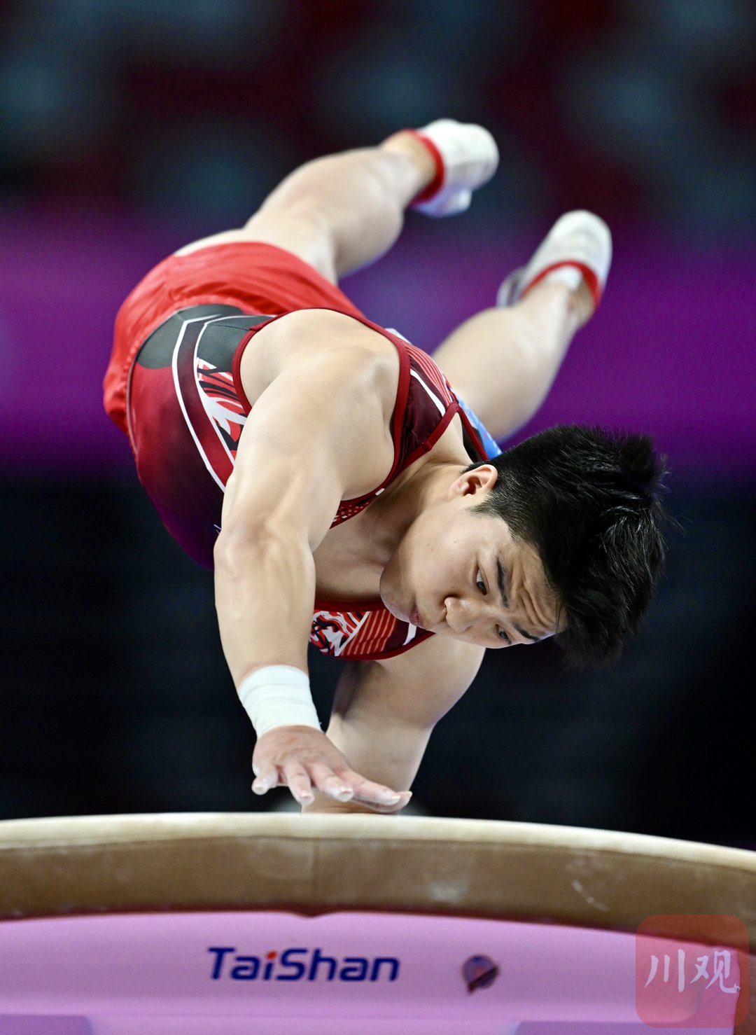 开云体育官方网站-体操战队状态火热,誓夺总冠军