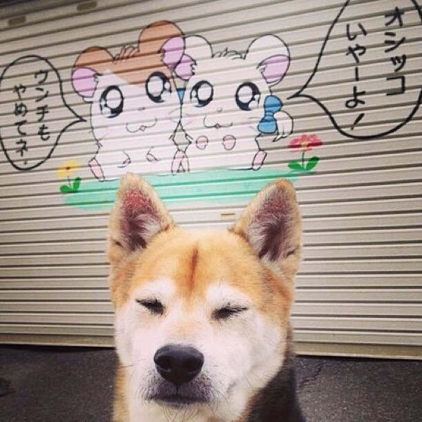 开云平台-格纳布里连续破门定乾坤，莱比锡红牛轻取雷恩