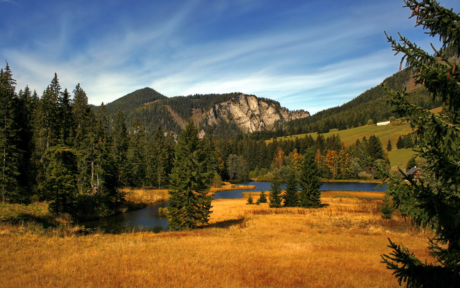 范戴克一柱擎天！利物浦精神铸就荷兰速胜瑞士关键先生