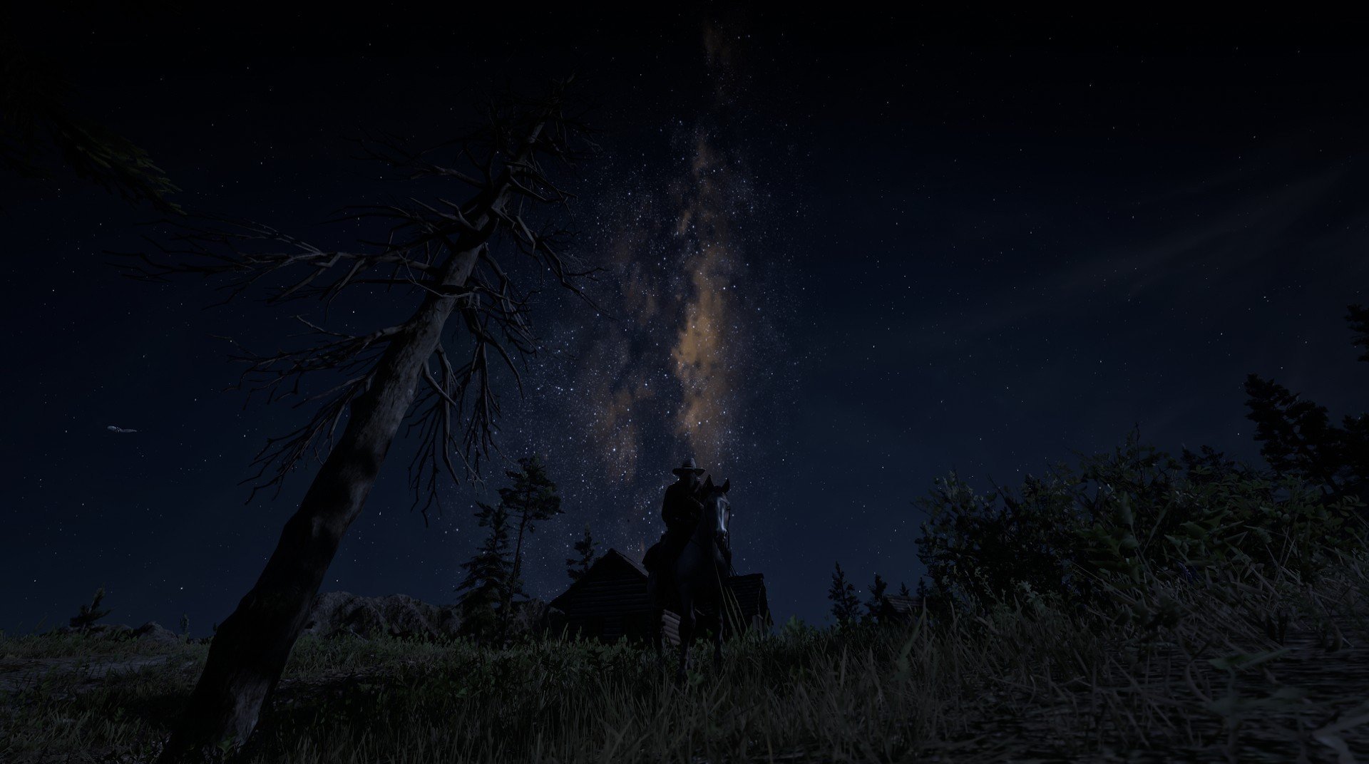 开云体育入口-巨星的尺度，从尼克斯的数据狂潮到武切维奇的奥运行板