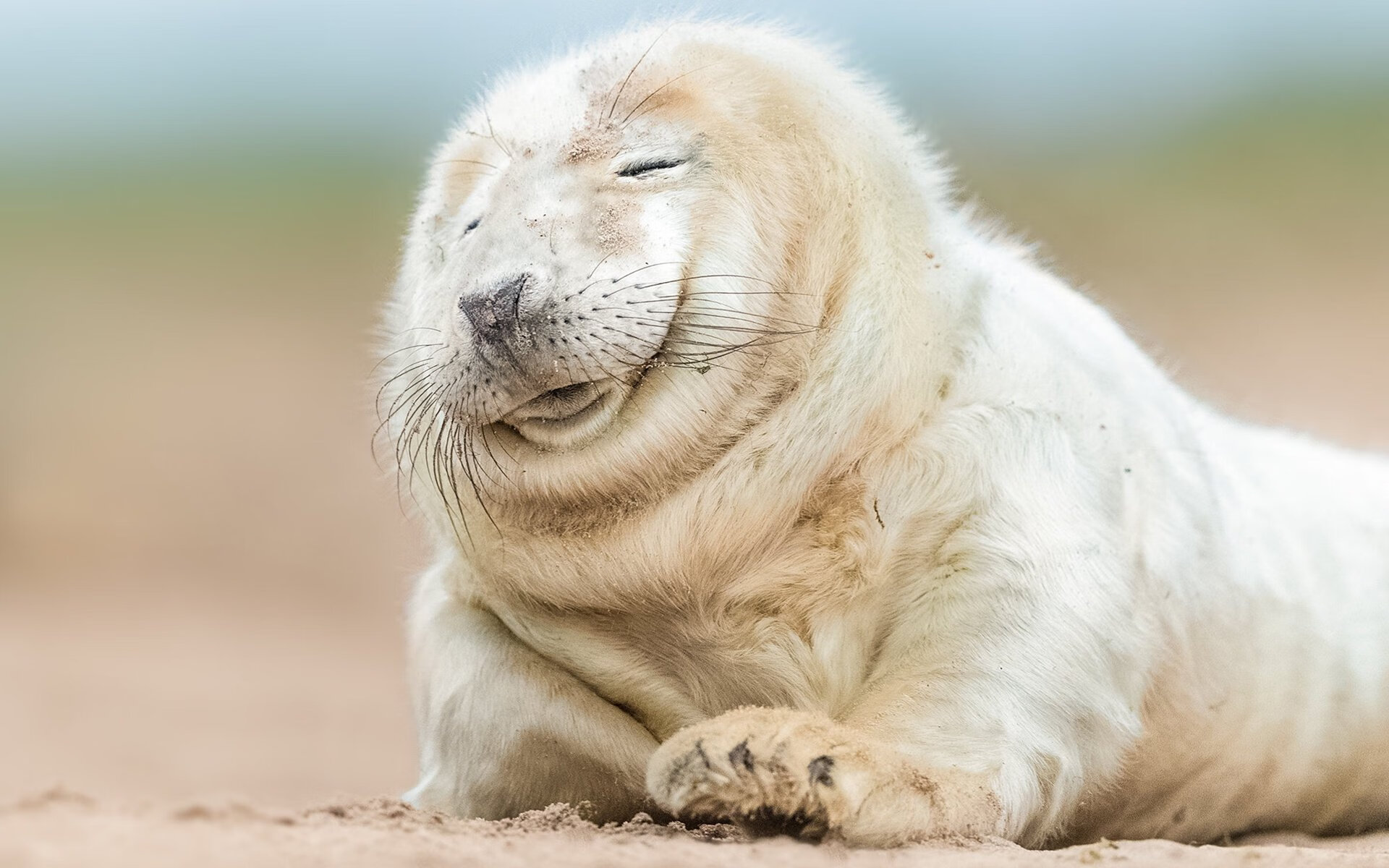 热火以慢火淬炼胜利，节奏掌控击溃骑士生死战