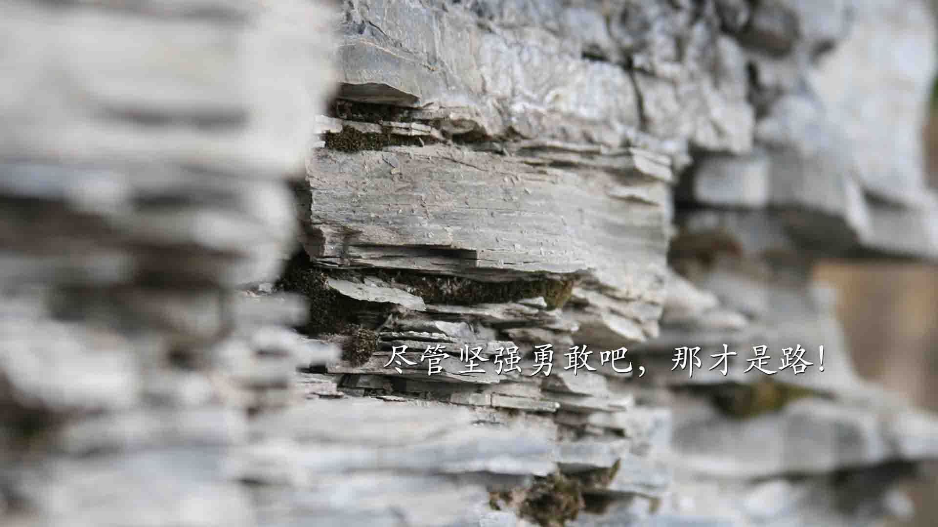 开云体育下载-乌拉圭冲垮韩国，奥斯梅恩欧冠决赛接管，足球胜利的双重维度