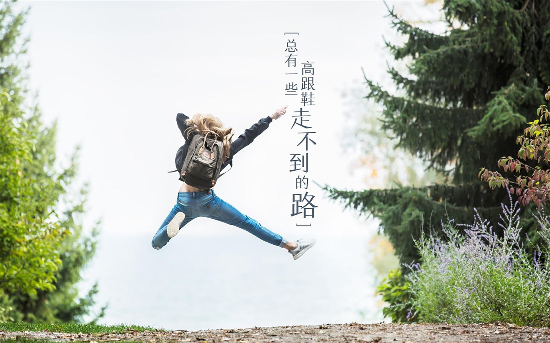 西风东渐,当灰熊的铁蹄踏破麦迪逊,福克斯在抢七的废墟上称王