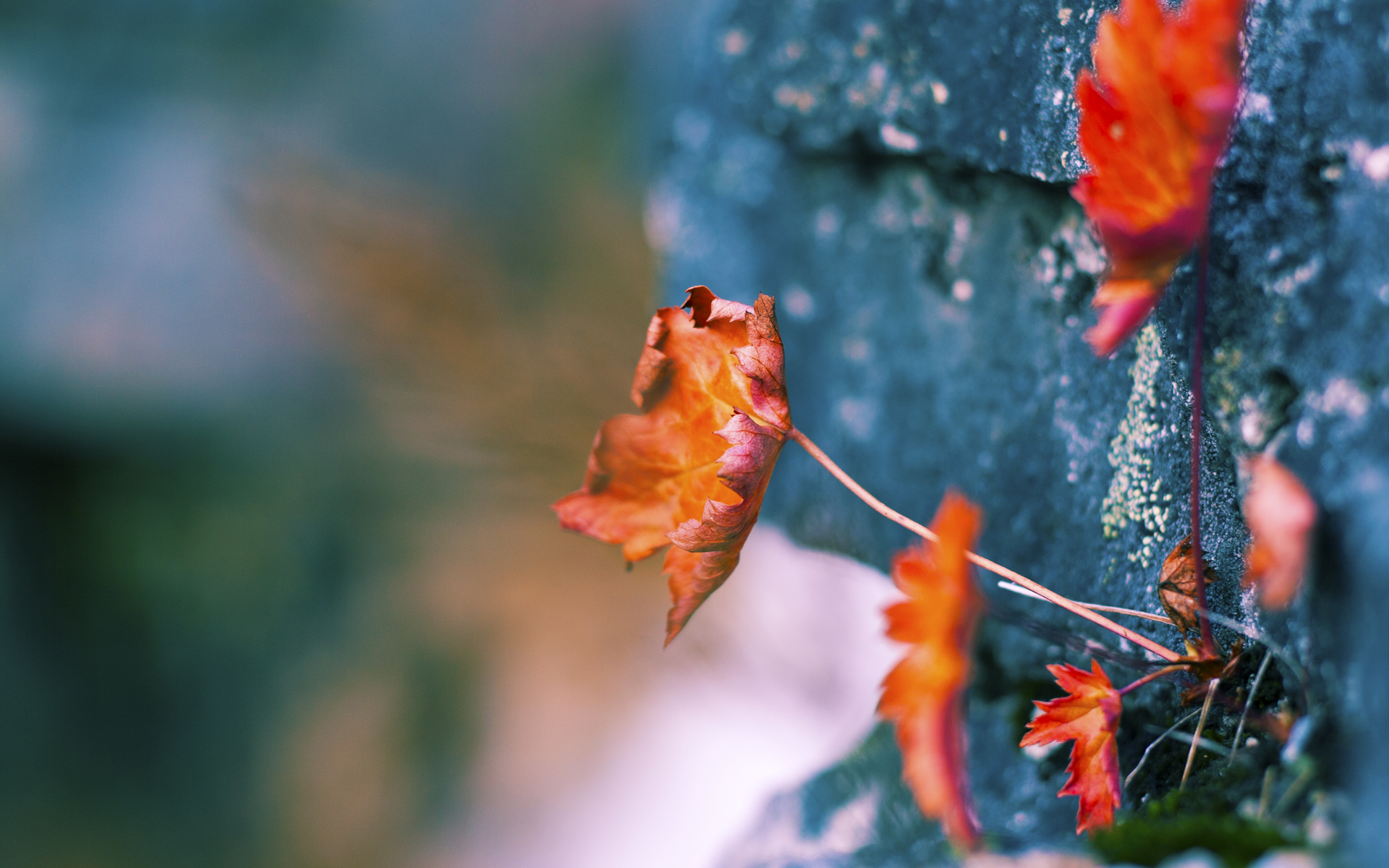 开云官网-快船横扫勇士！拉文从顶级得分手蜕变关键先生